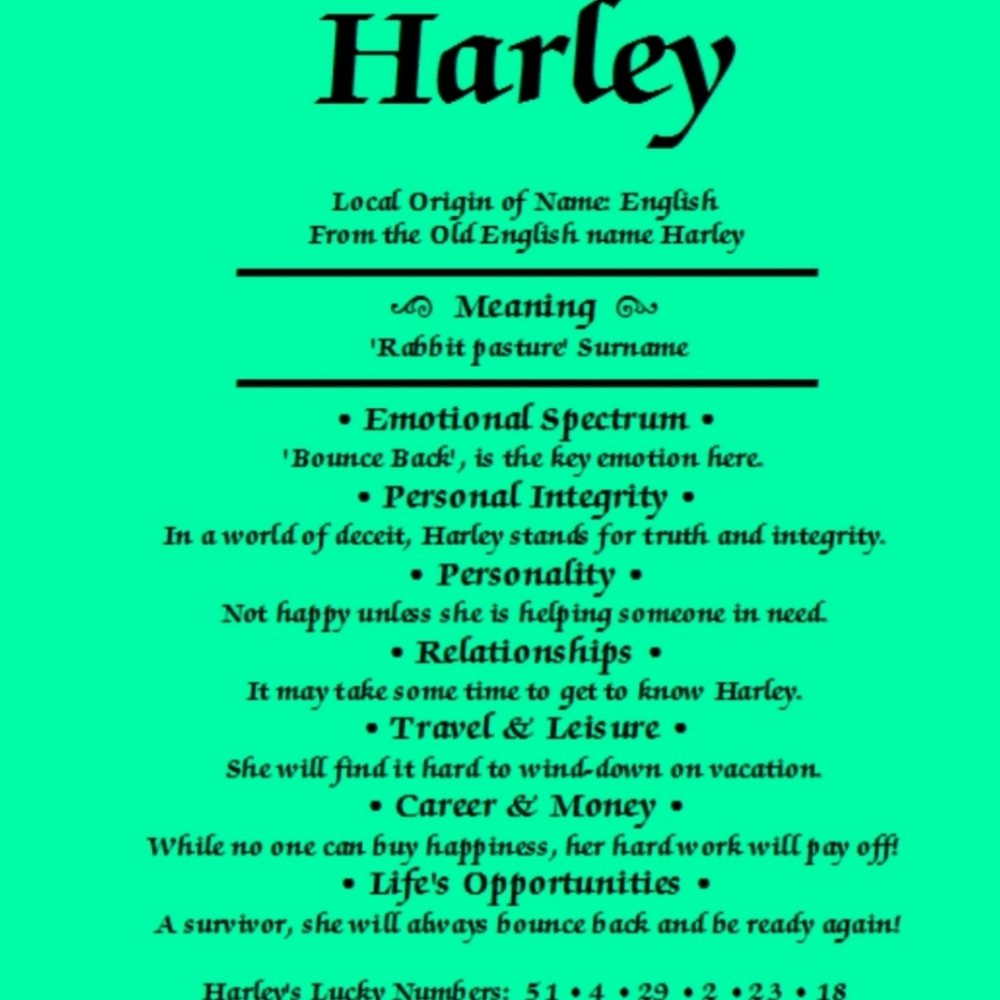 🚫DO NOT BUY🚫BUNDLE FOR HARLEY
